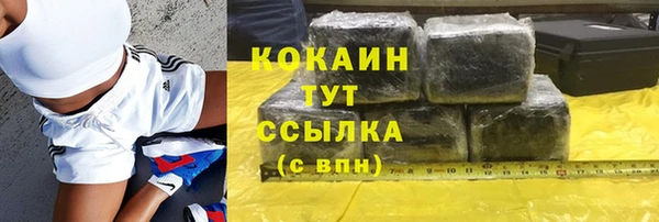 мдпв Домодедово