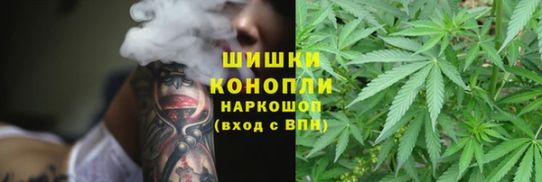 сатива Майский