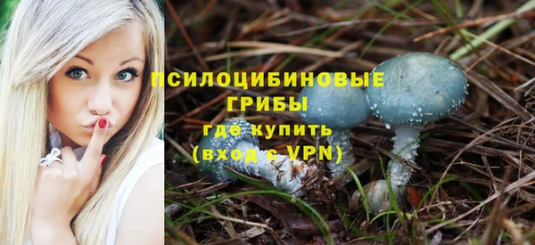 сатива Майский